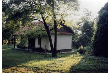 Hungrie Privát Atkár, Extérieur